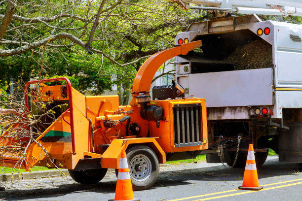 Best Tree Health Inspection  in Oak Harbor, OH